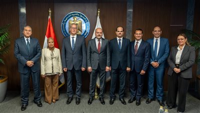 المهندس كريم بدوي