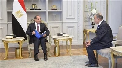 الرئيس السيسي ووزير الخارجية    