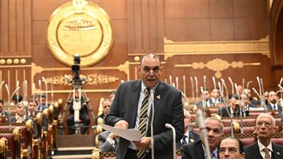 النائب رجائي عزت