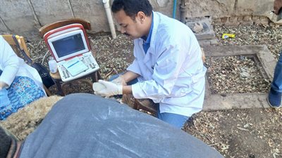 تعزيز الأمن الغذائي