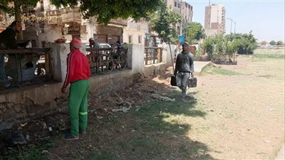 تحويل موقع مخلفات بالوليدية بحي شرق إلى مساحة خضراء نظيفة