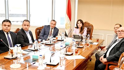  المهندسة راندة المنشاوي