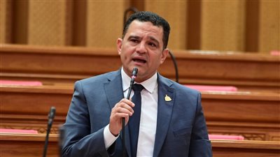 النائب أمير أحمد الجزار