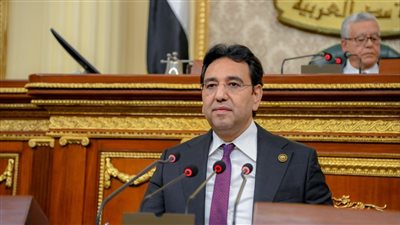 النائب أيمن محسب 