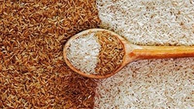 أسعار الأرز الشعير