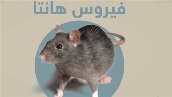 أرشيفيه     