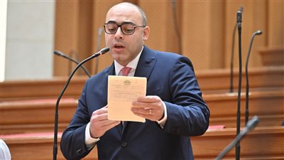النائب أحمد علاء فايد
