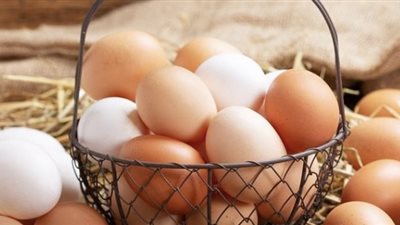 أسعار كرتونة البيض 