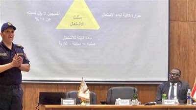  المستشار محمد الشناوي