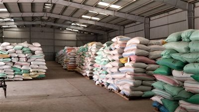 توريد القمح بالقليوبية 