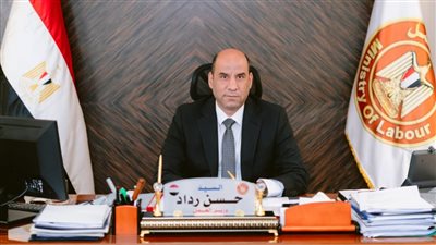 وزير العمل    
