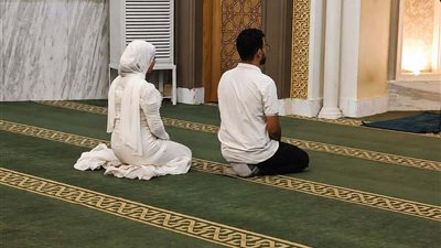 صورة توضيحية 