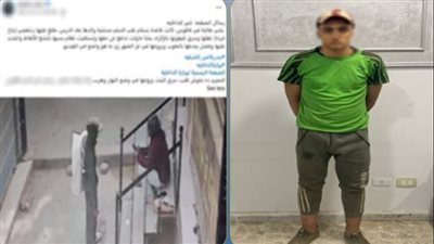 ضبط عامل خردة لشروعه في سرقة هاتف طالبة