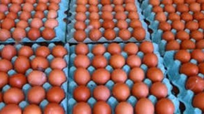 سعر البيض الأحمر اليوم الجمعة 29 مايو 2026