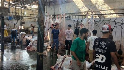 محافظ الجيزة: ذبح 4300 أضحية داخل المجازرالحكومية 