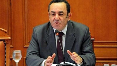 الدكتور عمرو الشوبكي    