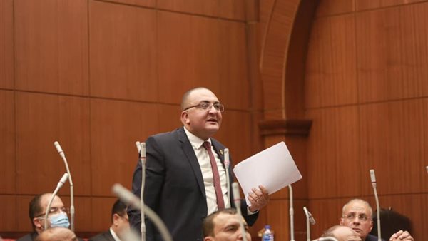 النائب عمرو عزت