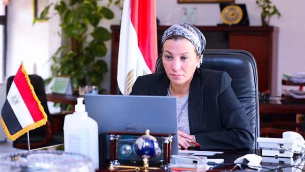 ياسمين فؤاد وزيرة