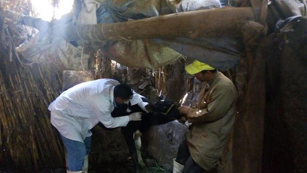 جانب من القافلة