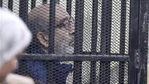 شقيق يوسف بطرس غالي