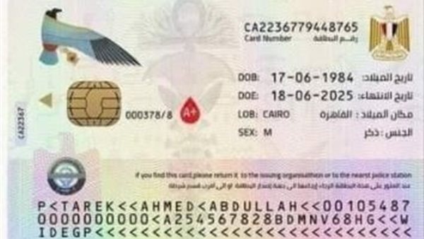 الصورة المتداولة