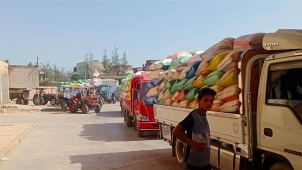 جانب من الحدث 