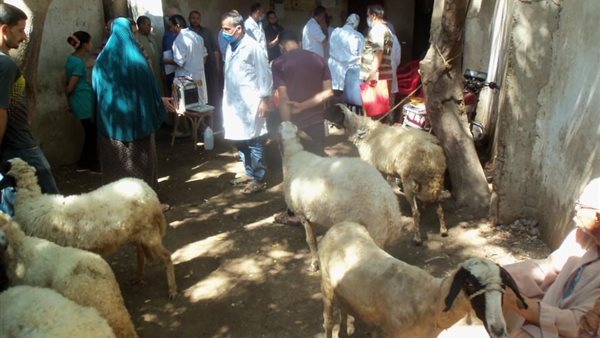 جانب من الحملة