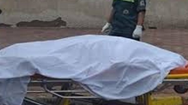 صورة ارشيفيه