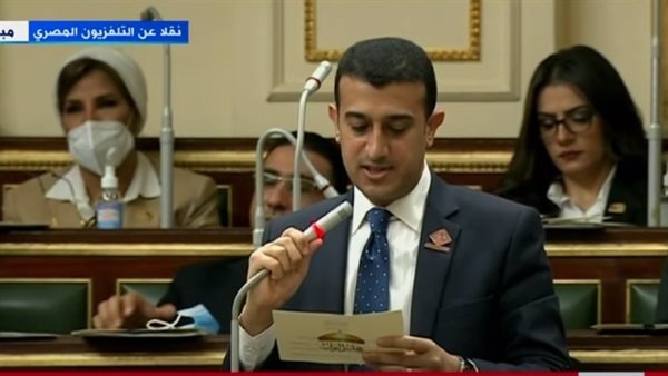 النائب طارق الخولي