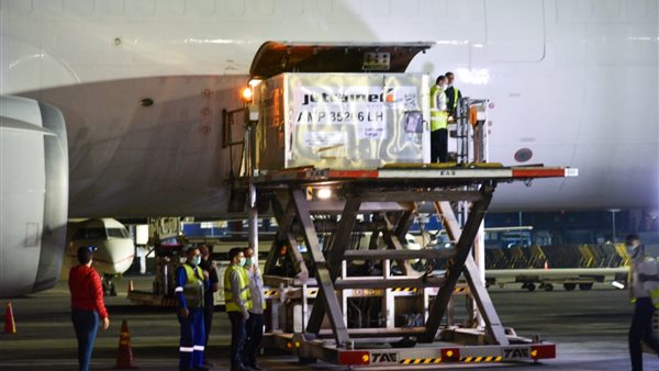 استقبال مصر لشحنة