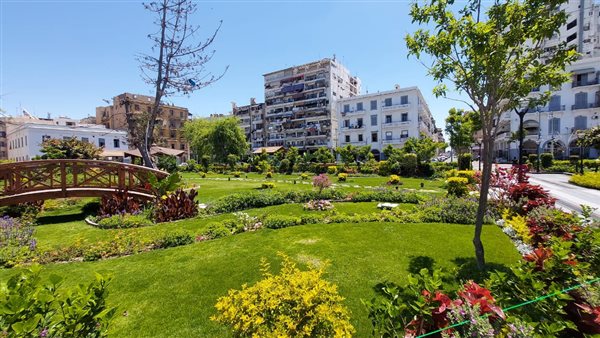 جانب من الحدث