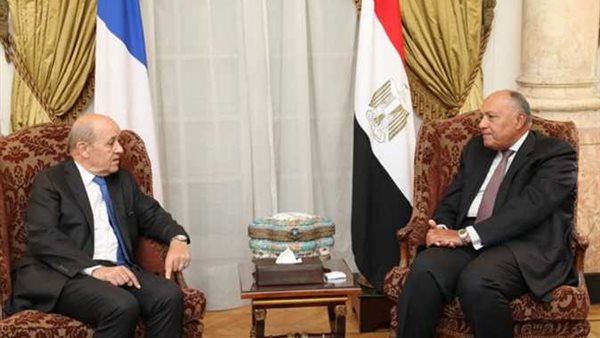 وزير الخارجية المصرى