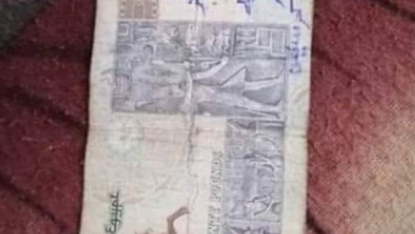 صورة من المنشور 