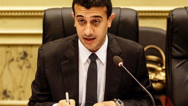 النائب طارق الخولى