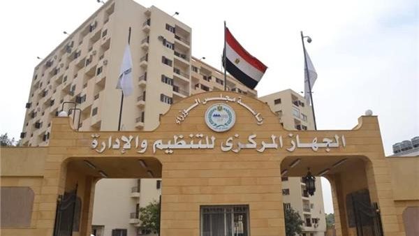 التنظيم والإدارة