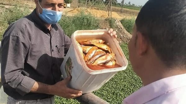 جانب من الحدث