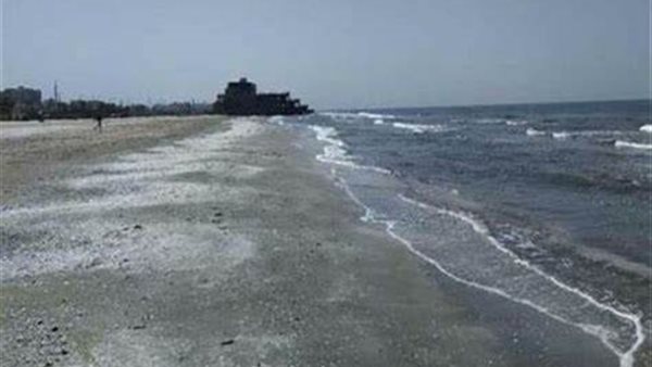 صورة ارشيفيه