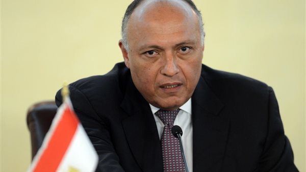 سامح شكري، وزير الخارجية