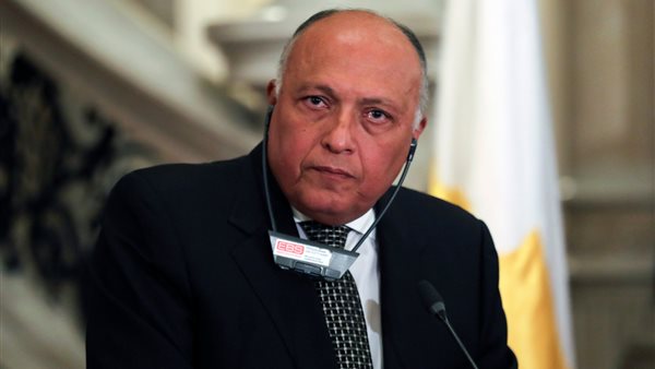 سامح شكري، وزير الخارجية