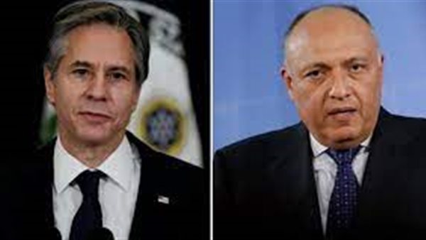 وزير خارجية مصر ونظيرة