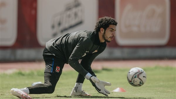 مصطفى شوبير 