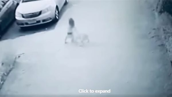 صورة من مقطع الفيديو