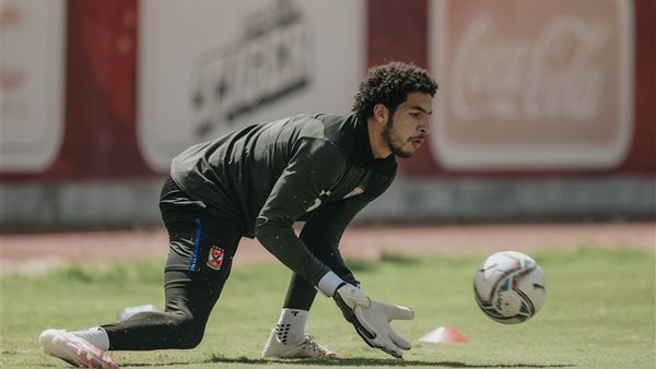 مصطفى شوبير