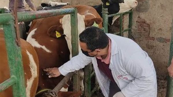 جانب من الحملة