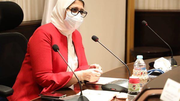 هالة زايد، وزيرة