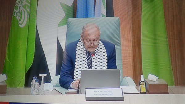 أحمد أبو الغيط الأمين