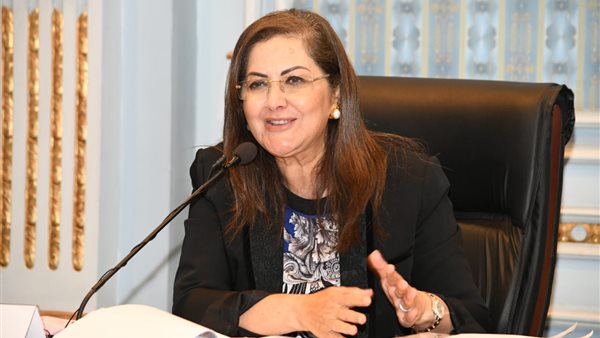 هالة السعيد، وزيرة