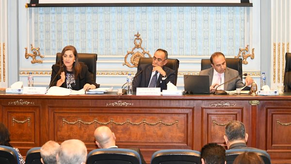 صورة من الجلسة- بمجلس