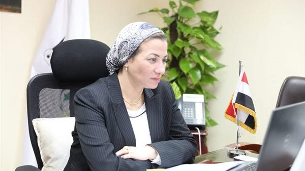 ياسمين فؤاد وزيرة