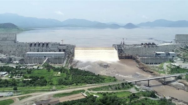 البروفيسور آريس جورجاكاكوس